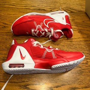 LeBron witness BRAND NEW